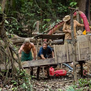 Bilder Gier - Rausch des Goldes