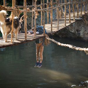 Bilder Kleine Helden, große Wildnis 2 - Abenteuer Serengeti