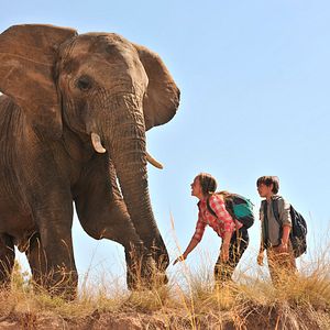 Bilder Kleine Helden, große Wildnis 2 - Abenteuer Serengeti