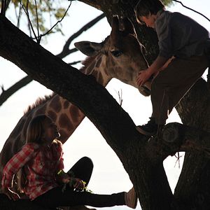 Bilder Kleine Helden, große Wildnis 2 - Abenteuer Serengeti