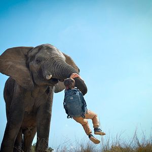 Bilder Kleine Helden, große Wildnis 2 - Abenteuer Serengeti