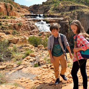 Bilder Kleine Helden, große Wildnis 2 - Abenteuer Serengeti