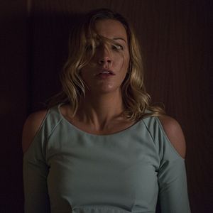 Bilder Wolves At The Door