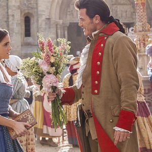 Bilder Die Schöne und das Biest