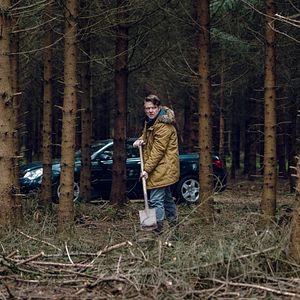 Bilder Der Hund begraben