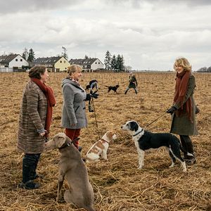 Bilder Juliane Köhler