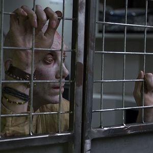 Bilder Stephen Merchant