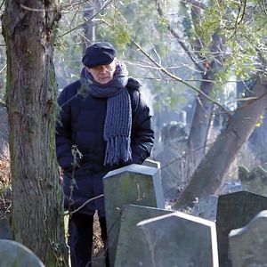 Bilder Wien vor der Nacht