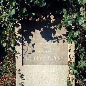 Bilder Wien vor der Nacht