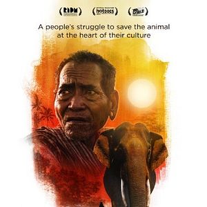 Bilder Last of the Elephant Men