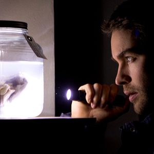 Bilder Chace Crawford