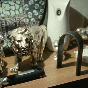 Bilder Mister Universo