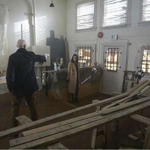 Bilder Abigail Spencer