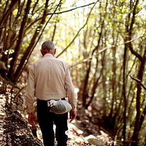 Bilder Shalom Italia