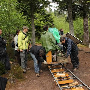 Bilder L'Automne de Zao