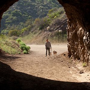 Bilder Liebe hat keine Deadline