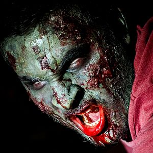 Bilder Beyond The Call To Duty - Elite Squad Vs. Zombies