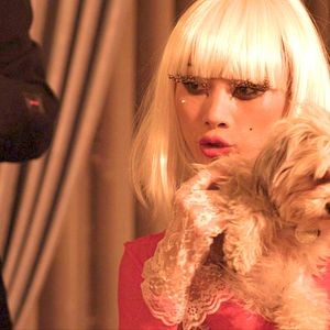 Bilder The Dog Walker - Jeder bleibt an seiner Leine!