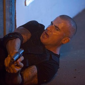 Bilder Dominic Purcell