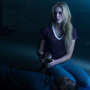 Bilder Saxon Sharbino