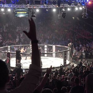 Bilder The Hurt Business