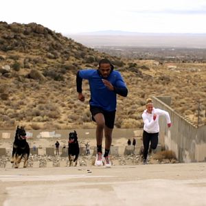 Bilder The Hurt Business