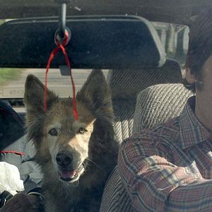 Bilder Ernesto Suárez (II)