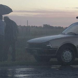 Bilder Ernesto Suárez (II)