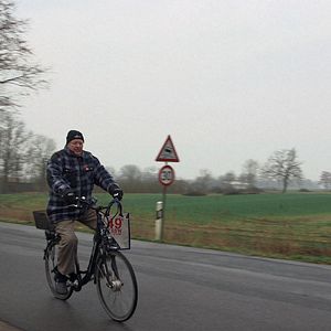 Bilder Von Bananenbäumen träumen