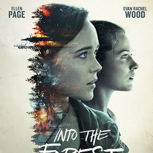 Bilder Into The Forest