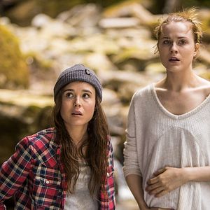 Bilder Into The Forest