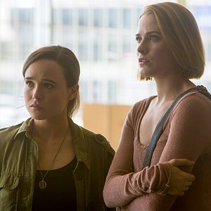 Bilder Into The Forest