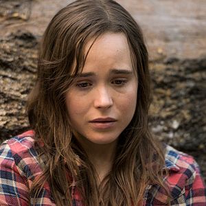 Bilder Into The Forest