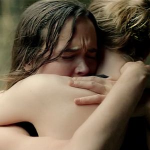 Bilder Into The Forest