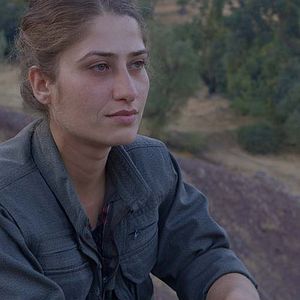 Bilder Gulîstan, terre de roses