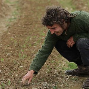 Bilder Les Pieds sur terre