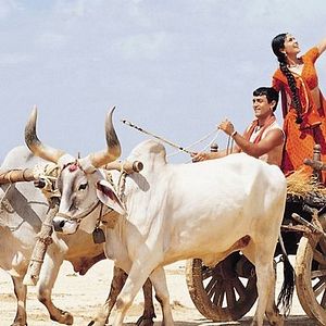 Bilder Lagaan - Es war einmal in Indien