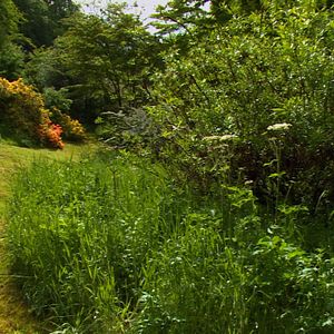 Bilder Gilles Clément, Le Jardin en mouvement