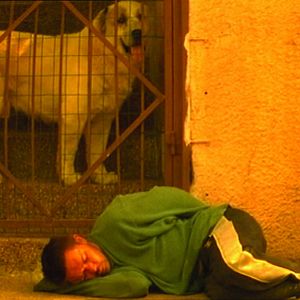 Bilder Description d'un combat