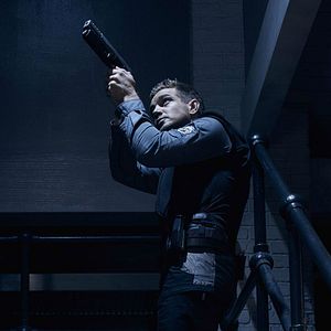 Bilder Taylor Handley