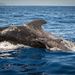 Bilder Die Kanarischen Inseln