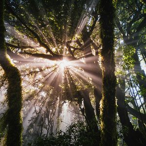 Bilder Die Kanarischen Inseln