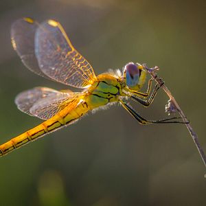 Bilder Die Kanarischen Inseln