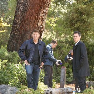 Bilder David Boreanaz