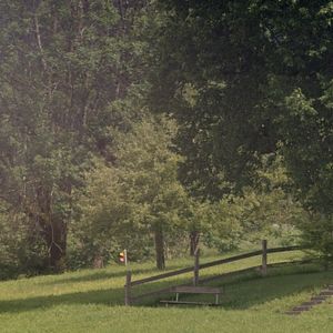 Bilder Daniel Hope - Der Klang des Lebens