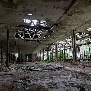 Bilder The End Of Meat - Eine Welt ohne Fleisch