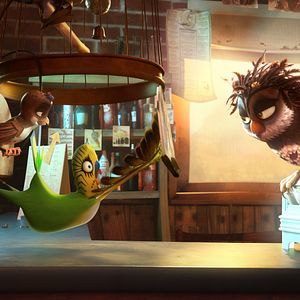 Bilder Überflieger - Kleine Vögel, großes Geklapper