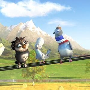 Bilder Überflieger - Kleine Vögel, großes Geklapper