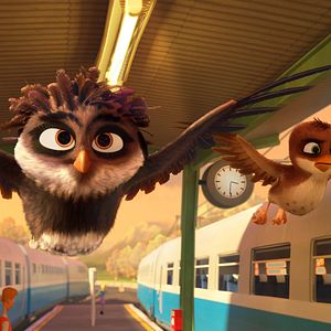 Bilder Überflieger - Kleine Vögel, großes Geklapper