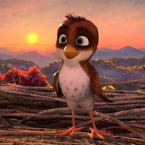 Bilder Überflieger - Kleine Vögel, großes Geklapper